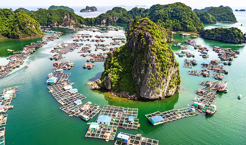 Floating fishing village and rock island in Ha Long Bay