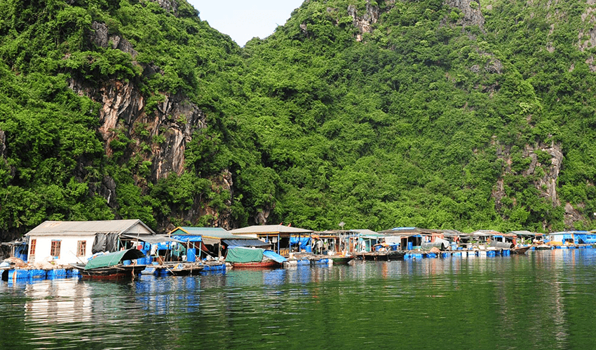 Cua-Van-Floating-Village-halong-bay