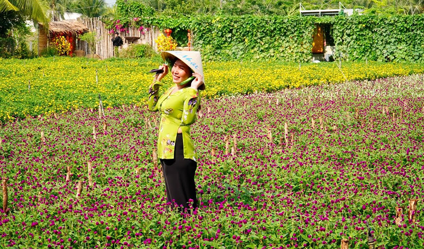 Man-Dinh-Hong-flower-garden-tien-giang-province