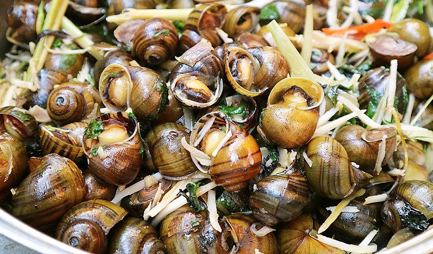 Try-rice-snails-in-Tan-Phong-island