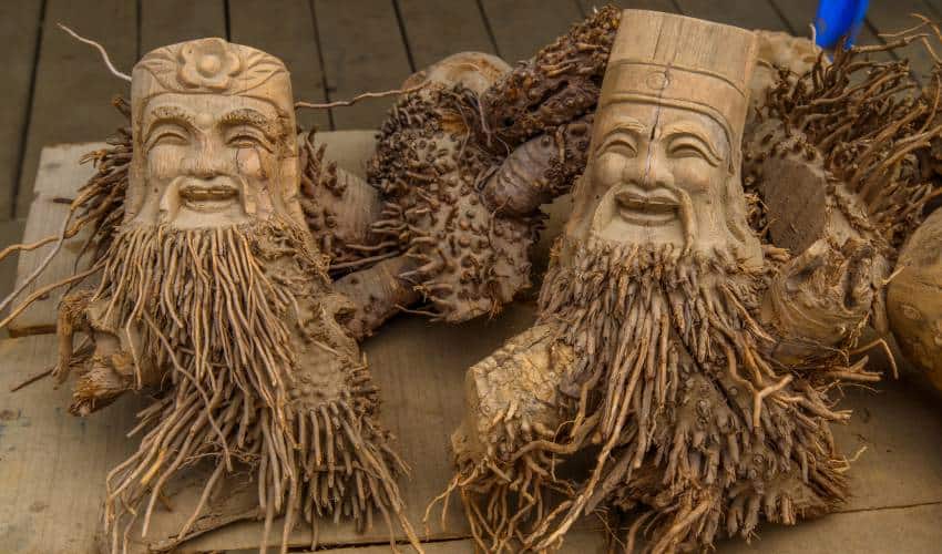 Bamboo Root Sculptures - what souvenirs to buy in hoi an