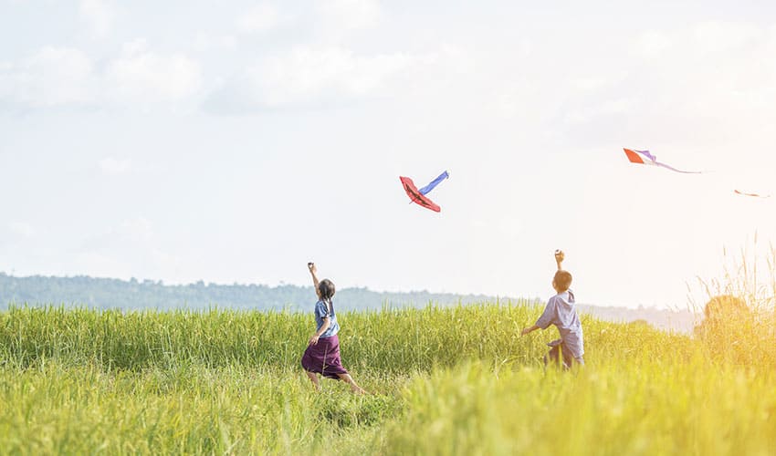 Hue Sightseeing and Making Kite Private Tour