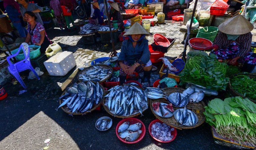 thuy thanh market